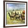 Herds of Llamas in the Andes-Ferdinando Tacconi-Framed Giclee Print