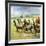 Herds of Llamas in the Andes-Ferdinando Tacconi-Framed Giclee Print