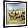 Herds of Llamas in the Andes-Ferdinando Tacconi-Framed Giclee Print