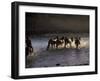 Herdsman and Horses Cross The Lake At Sunset, Great White Lake, Mongolia-Keren Su-Framed Photographic Print