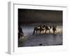 Herdsman and Horses Cross The Lake At Sunset, Great White Lake, Mongolia-Keren Su-Framed Photographic Print