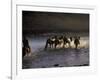 Herdsman and Horses Cross The Lake At Sunset, Great White Lake, Mongolia-Keren Su-Framed Photographic Print