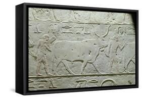Herdsman Leading a Bull, Detail from Mastaba of Akhethotep, from Saqqara, Old Kingdom, c. 2500 BC-null-Framed Stretched Canvas
