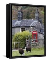 Herdwick Sheep and Cottage, Borrowdale, Lake District, Cumbria, England-Doug Pearson-Framed Stretched Canvas