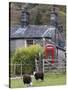 Herdwick Sheep and Cottage, Borrowdale, Lake District, Cumbria, England-Doug Pearson-Stretched Canvas