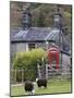 Herdwick Sheep and Cottage, Borrowdale, Lake District, Cumbria, England-Doug Pearson-Mounted Photographic Print