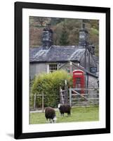 Herdwick Sheep and Cottage, Borrowdale, Lake District, Cumbria, England-Doug Pearson-Framed Photographic Print