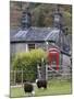 Herdwick Sheep and Cottage, Borrowdale, Lake District, Cumbria, England-Doug Pearson-Mounted Photographic Print