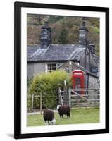 Herdwick Sheep and Cottage, Borrowdale, Lake District, Cumbria, England-Doug Pearson-Framed Photographic Print