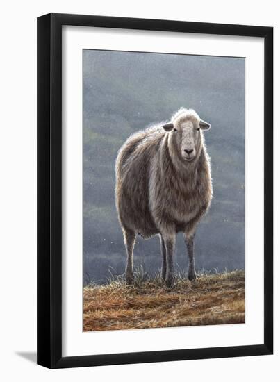 Herdwick Sheep-Jeremy Paul-Framed Premium Giclee Print