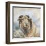 Herdwick Sheep-Dina Perejogina-Framed Art Print