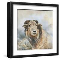 Herdwick Sheep-Dina Perejogina-Framed Art Print