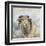 Herdwick Sheep-Dina Perejogina-Framed Art Print