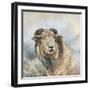 Herdwick Sheep-Dina Perejogina-Framed Art Print