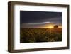 Here Come the Sunflowers-Vincent James-Framed Photographic Print