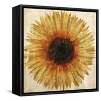 Here Comes The Light-Kari Taylor-Framed Stretched Canvas