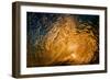 Here comes the sun-Looking out of a tubing wave at sunrise from inside the wave-Mark A Johnson-Framed Photographic Print