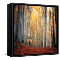 Here Comes the Sun-Philippe Sainte-Laudy-Framed Stretched Canvas