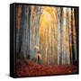 Here Comes the Sun-Philippe Sainte-Laudy-Framed Stretched Canvas
