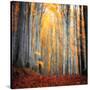 Here Comes the Sun-Philippe Sainte-Laudy-Stretched Canvas