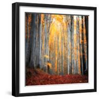 Here Comes the Sun-Philippe Sainte-Laudy-Framed Premium Photographic Print