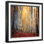 Here Comes the Sun-Philippe Sainte-Laudy-Framed Premium Photographic Print