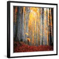 Here Comes the Sun-Philippe Sainte-Laudy-Framed Photographic Print