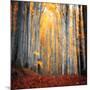 Here Comes the Sun-Philippe Sainte-Laudy-Mounted Photographic Print