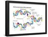 Heredity-Encyclopaedia Britannica-Framed Poster