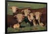 Hereford Bulls-DLILLC-Framed Photographic Print