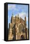 Hereford Cathedral, Hereford, Herefordshire, England, United Kingdom, Europe-Jane Sweeney-Framed Stretched Canvas
