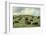 Hereford Cattle Grazing on Hill-James Randklev-Framed Photographic Print