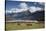 Hereford Cattle in Dart River Valley Near Glenorchy, Queenstown, South Island, New Zealand, Pacific-Nick Servian-Stretched Canvas