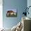 Hereford Cow Grazing on Hillside, Chalk Farm, Willingdon, East Sussex, England-Ian Griffiths-Mounted Photographic Print displayed on a wall