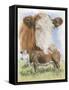Hereford-Barbara Keith-Framed Stretched Canvas