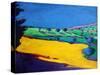Hereford-Paul Powis-Stretched Canvas