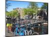 Herengracht, Amsterdam, Netherlands, Europe-Amanda Hall-Mounted Photographic Print