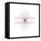 Hering Illusion-Science Photo Library-Framed Stretched Canvas