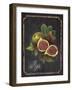 Heritage Figs-Chad Barrett-Framed Art Print