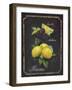 Heritage Lemons-Chad Barrett-Framed Art Print