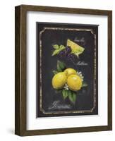 Heritage Lemons-Chad Barrett-Framed Art Print