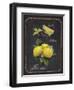 Heritage Lemons-Chad Barrett-Framed Art Print