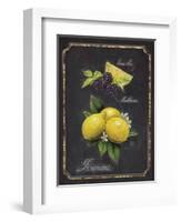 Heritage Lemons-Chad Barrett-Framed Art Print