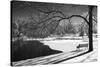 Heritage Pond in Winter-Monte Nagler-Stretched Canvas