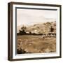 Heritage Style Pasture-Jenny Westenhofer-Framed Art Print