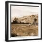 Heritage Style Pasture-Jenny Westenhofer-Framed Art Print