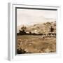 Heritage Style Pasture-Jenny Westenhofer-Framed Art Print