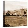 Heritage Style Pasture-Jenny Westenhofer-Stretched Canvas