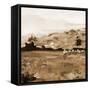 Heritage Style Pasture-Jenny Westenhofer-Framed Stretched Canvas