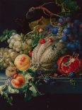 Fruit Still Life on a Stone Ledge black lead, watercolor and bodycolour on vellum-Herman Henstenburgh-Giclee Print